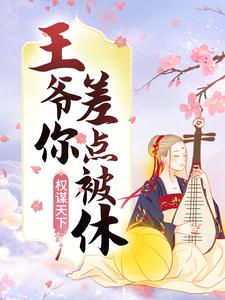权谋天下：王爷你差点被休！她他那个女子无弹窗大结局_权谋天下：王爷你差点被休！小说全文免费阅读