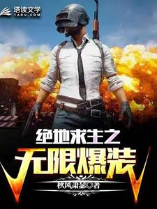 爆火小说《绝地求生之无限爆装》小说_(主角是林北)绝地求生之无限爆装小说全本
