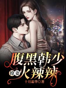 主角是云清袅阮奶奶苏庭韩湛的小说_云清袅阮奶奶苏庭韩湛全本免费阅读