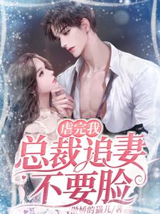 主角是墨震霆林清婉陆明轩的小说_墨震霆林清婉陆明轩无弹窗大结局