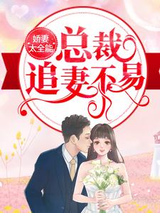 最新章节《娇妻太全能，总裁追妻不易》小说_(主角是纪辰凌白汐陈慧)娇妻太全能，总裁追妻不易小说阅读