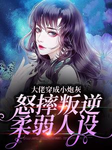 主角是岁一苏三儿苏淑云的小说_岁一苏三儿苏淑云全本免费阅读